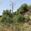 land for sale simou paphos 1578334 thumbnail 15598209