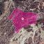 land for sale skarinou larnaca 8629334 thumbnail 15867354