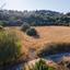 land for sale theletra paphos 8665334 thumbnail 16306512