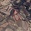9031 SQM Land for sale in Drynia, Paphos thumbnail 16574766