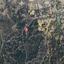 land for sale mitsero nicosia 1158434 thumbnail 15865021