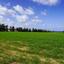 plot for sale chrysochou paphos 8237434 thumbnail 14228904