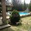4 bedroom detached house for sale klirou nicosia 1232534 thumbnail 5215765