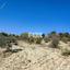 land for sale koili paphos 1161534 thumbnail 5559601