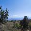 land for sale koili paphos 1161534 thumbnail 5559604