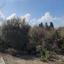 land for sale konia paphos 1792534 thumbnail 16009126