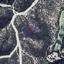 land for sale tochni larnaca 8698534 thumbnail 16205379