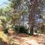 plot for sale agridia limassol 1151534 thumbnail 5136446
