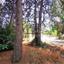 plot for sale agridia limassol 1151534 thumbnail 5136448