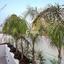 7 bedroom detached house for sale latsia nicosia 7609634 thumbnail 9774897