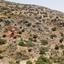 land for sale pissouri limassol 7660634 thumbnail 15839433
