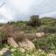 land for sale pyrgos limassol limassol 8785634 thumbnail 16655883