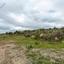 land for sale pyrgos limassol limassol 8785634 thumbnail 16655884