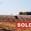 land sold kapparis famagusta 1526634 thumbnail 3763799