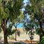 3 bedroom apartment for sale agios tychonas limassol 1835734 thumbnail 14855365