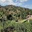 land for sale kakopetria nicosia 7738734 thumbnail 10206497