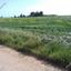 land for sale xylofagou larnaca 8412734 thumbnail 14905867