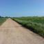 land for sale xylofagou larnaca 8412734 thumbnail 14905868