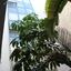 studio commercial building for rent katholiki limassol 7660734 thumbnail 14626456