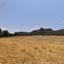 20556 SQM Land for sale in Goudi, Paphos thumbnail 15200912