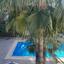 3 bedroom apartment for rent agios tychonas limassol 8219834 thumbnail 14471676