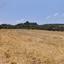 land for sale goudi paphos 8395834 thumbnail 15200907