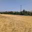 land for sale goudi paphos 8395834 thumbnail 15200909
