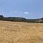 land for sale goudi paphos 8395834 thumbnail 15200910