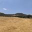 land for sale goudi paphos 8395834 thumbnail 15200911