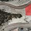 917 SQM Plot for sale in Armenochori, Limassol thumbnail 15171673