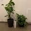 3 bedroom apartment for rent platy aglantzias nicosia 8705044 thumbnail 16242166