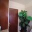 3 bedroom detached house for sale agios therapon limassol 1931044 thumbnail 14505208