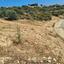 plot for sale germasogeia limassol 1055044 thumbnail 6239113