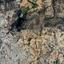 583 SQM Plot for sale in Geri, Nicosia thumbnail 16749851
