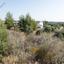 land for sale lythrodontas nicosia 8908244 thumbnail 17400149