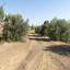 land for sale lythrodontas nicosia 8908244 thumbnail 17400151