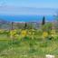 land for sale poli chrysochous paphos 7882244 thumbnail 11004641