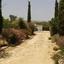 1 bedroom detached house for sale pera orinis nicosia 8693444 thumbnail 16181548
