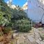 3 bedroom bungalow for rent nicosia municipality nicosia 7992444 thumbnail 15710373