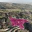 land for sale theletra paphos 8237544 thumbnail 14230571