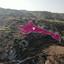 land for sale theletra paphos 8237544 thumbnail 14230574