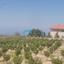 3345 SQM Land for sale in Ineia, Paphos thumbnail 16016134