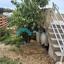 3 bedroom detached house for rent mesogi paphos 8574644 thumbnail 15656033