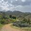 land for sale gourri nicosia 1877744 thumbnail 6984013