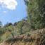 3679 SQM Land for sale in Kaminaria, Limassol thumbnail 15602309