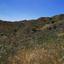 7349 SQM Land for sale in Kapedes, Nicosia thumbnail 6815003