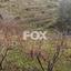 land for sale dymes limassol 1146844 thumbnail 5546007