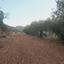 plot for sale pano lefkara larnaca 7573844 thumbnail 16131911