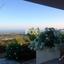 3 bedroom detached house for sale pano kivides limassol 1146944 thumbnail 5514071