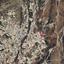 land for sale peyia paphos 1169944 thumbnail 16009431